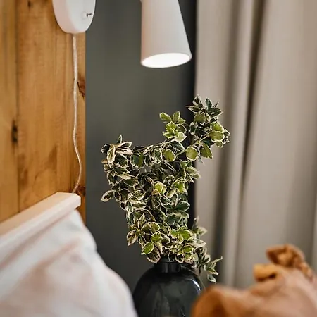 Vermelo Boho Apartamento